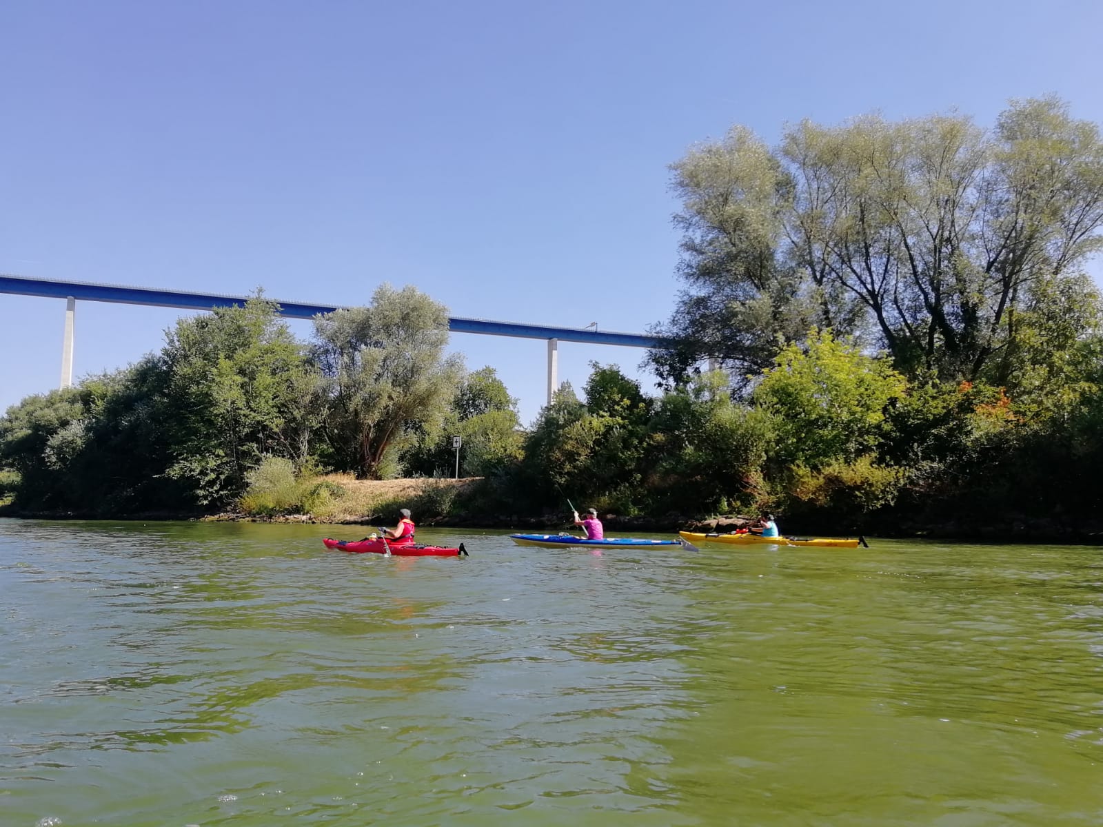 IMG 20220827 WA0008