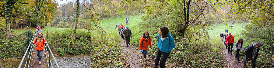 2024 Herbstwanderung02